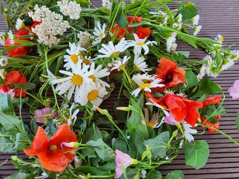 Sommerblumen: Margeriten und Mohnblumen