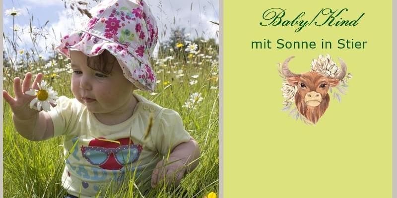 Kleinkind auf der Wiese - Blogfoto Baby in Stier